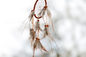 dream catcher, dreamcatcher, feathers, dreams, indian, culture, dream, spirituality, hippie, nature spirits, feather jewelry, spiritual, indians, pearls, magic, macrame, shamanism, node, dream catcher, dream catcher, dream catcher, dream catcher, dream catcher, dreamcatcher